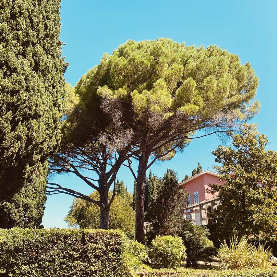 Vila Tartini Strunjan Luaran gambar
